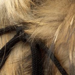 R.Polański Bottes Et Autres Bottines R.POLAŃSKI - 0842/K Czarny Jenot Noir -R.Polański Soldes Magasin 0000199117121 polbut 842 k czarny jenot anp 05